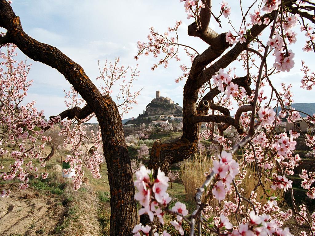 Casa Rural Sant Antoni ビア エクステリア 写真
